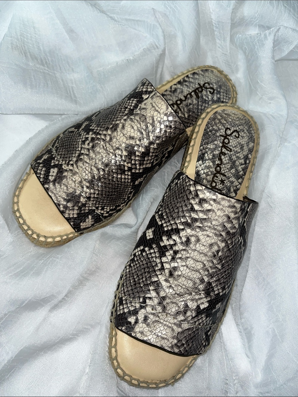 Splendid Snake-Print Slide Mules in Black and Cream